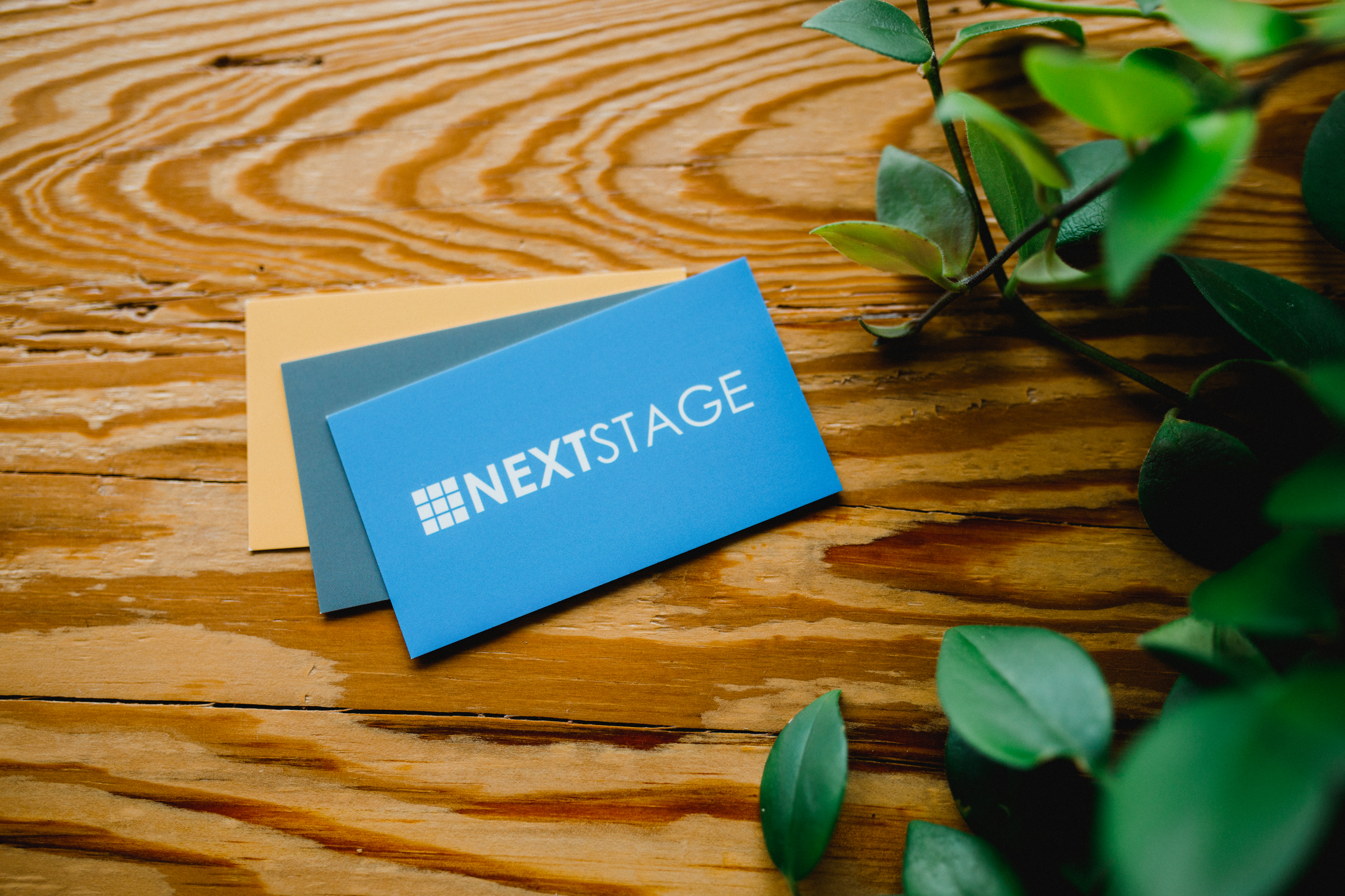 Next Stage’s Values and Guiding Principles